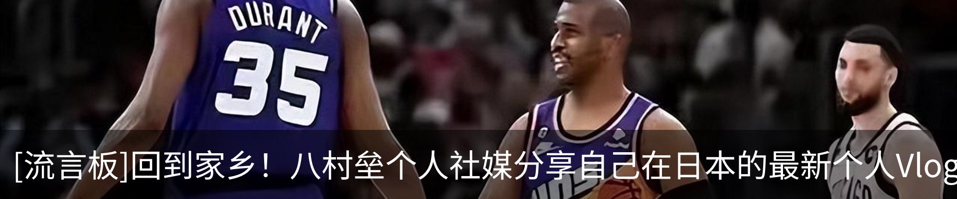 新闻动态